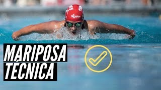 🏆🏊🏼‍♂️ ​Como nadar estilo mariposa para principiantes tecnica [upl. by Corissa786]