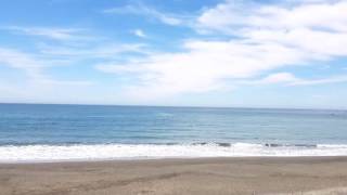 Brookings Oregon Beach Front Room [upl. by Islek240]