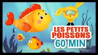 Les petits poissons dans leau  1H DE COMPTINES POUR LES PETITS  Titounis [upl. by Krell]