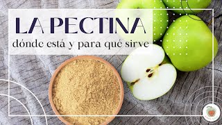 LA PECTINA Para qué Sirve Beneficios y Alimentos que la contienen [upl. by Faxon]