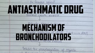 Mechanism of action for Bronchodilator  Beta 2 Agonist Anticholinergic agents  Methylxanthine [upl. by Aicilanna]