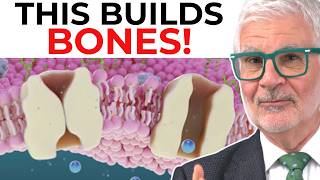 Grow STRONGER Bones with Micro Impact Therapy Dr Gundry [upl. by Phi]