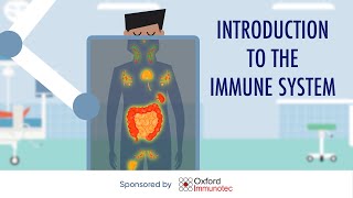 Introduction to the immune system [upl. by Gernhard]