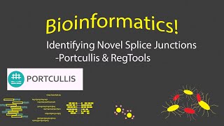 Bioinformatics  Identifying New RNAseq Splice Junctions Timestamps [upl. by Auginahs]