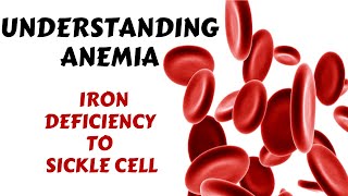 Types of Anaemia  Iron Folate Vitamin B12 deficiency Sickle Cell  Anemia Symptoms amp Treatment [upl. by Razid]