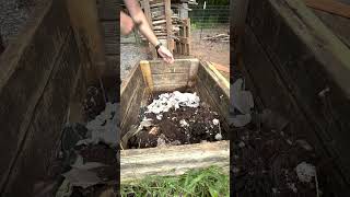 Groundskeeping August 20 2024 diy compost composting [upl. by Yannodrahc647]