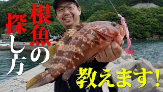 根魚の探し方【堤防編】お手軽ロックフィッシュゲームを始めよう！ [upl. by Hourigan569]