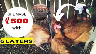 How To Start Small Poultry Farm in Ghana [upl. by Merc]