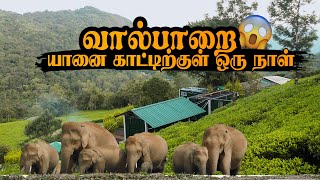 Best stay in Valparai 😍 Valparai container Stay I Valparai Vlog part3 Tamil 001 travel [upl. by Akima]