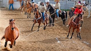 Charros in Texas thrive on tradition family competition [upl. by Ymar836]