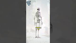 The Skeletons Superpowers Revealed 🦴💪 [upl. by Latrell]