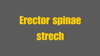 Erector Spinae Stretch [upl. by Marshal]