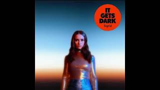 Sigrid  It Gets Dark Official Audio [upl. by Rois449]