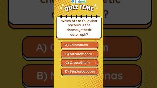 Kingdom Monera  Chemosynthetic Autotrophic Bacteria  Biological Classification  Class 11 Biology [upl. by Letsirc510]