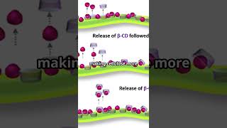 Rapid Surface Acetylation of Cellulosic Materials A Breakthrough sciencefather chemistry surface [upl. by Merc]