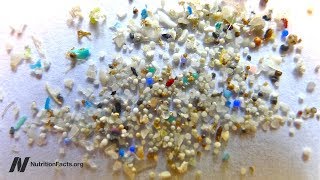 How Much Microplastic Is Found in Fish Fillets [upl. by Atinra]