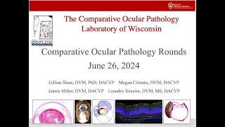 COPLOW Ocular Pathology Rounds June 26 2024 [upl. by Livia]