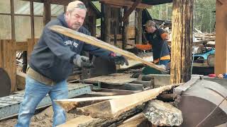 Milling 6×6 Timbers sawmill michigan hardwood [upl. by Derraj252]