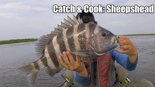 CATCH amp COOK Sheepshead POOR MAN’S LOBSTER [upl. by Airat]