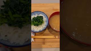 Cooking with Fresh Daikon Radish Leaves Simple Japanese Meal 🥘 food [upl. by Hanafee]