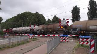 Spoorwegovergang Zwolle  Dutch Railroad Crossing [upl. by Aieken]