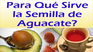 PARA QUE SIRVE LA SEMILLA DE AGUACATE Poderosos Beneficios Del Te De Semilla De Aguacate [upl. by Garlinda]