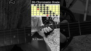 Bb chromatic scale guitar lesson chromaticscale [upl. by Chee942]