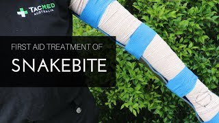 Pressure Immobilisation Technique for Snakebite [upl. by Nicolle]