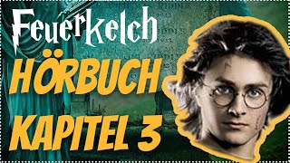 Harry Potter und der Feuerkelch Hörbuch Kapitel 3 Hörspiel Erwachsene Hörbuch Hörspiel [upl. by Tomkins]