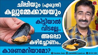 കല്ലുമ്മേക്കായയും ചിപ്പിയും എരുന്ത് കിട്ടിയാൽ വിടല്ലേ അപ്പൊ കഴിച്ചോണം കാരണമറിയാമോ [upl. by Alien]