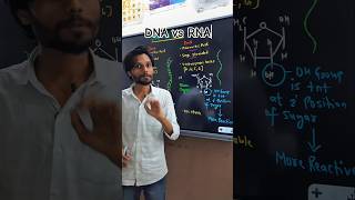 DNA vs RNA shorts biology dna rna DNAvsRNA science k2institute [upl. by Sabelle]