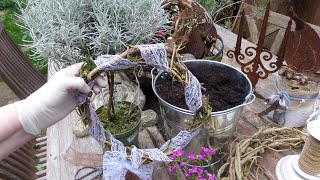 3 DIY Shabby Chic Natur KRÄNZE wickeln ohne Draht in UPCYCLING [upl. by Naimaj]