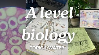 A level biology edexcel a SNAB Topic 1 Water [upl. by Ylla742]