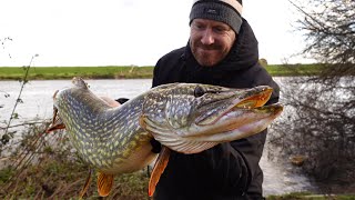 Chasing Giants  Epic Pike Fishing on the River Trent [upl. by Edras]