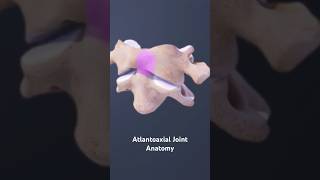 Atlantoaxial Joint Anatomy [upl. by Airpal930]