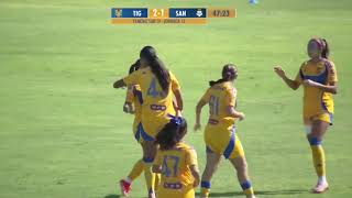 Tigres vs Santos  Femenil Sub19  Resumen  Jornada 13  Liga MX  Apertura 2024 [upl. by Chemesh]