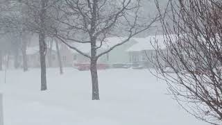 Snow storm Brookings SD 1824 sdwx winter snow youtube [upl. by Esiole]