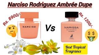 👌🔥Narciso Rodriguez Ambrée Dupe🧐  Maison Alhambra Narrisa Ambre  Affordable Tropical Fragrance [upl. by Girvin]