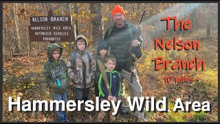 Hammersley Wild Area an Introduction amp Hiking the Nelson Branch with Children [upl. by Ahsienad365]