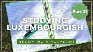 Learning a language in 48H  speaking Luxembourgish  PART 2  Becoming a Polyglot [upl. by Januisz137]