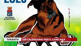 11 NOVEMBRE 2024 TARANTO UN CALENDARIO PER IL CANE MAX [upl. by Barbara]