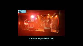 Redfish blues band  Soulshine [upl. by Norag822]