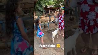 CABRITINHO COM FOME DE VESTIDO 😂🥰 diadefazendeiro natureza viralvideo [upl. by Llevrac]