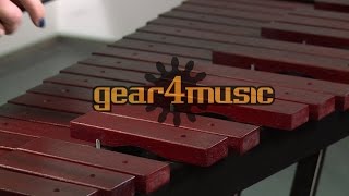 Xylophone by Gear4music [upl. by Ynove740]