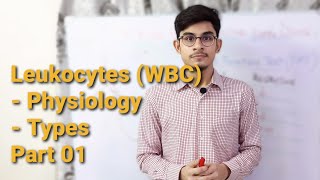 Leukocytes physiology and types of White blood cells  Part 1 Urdu  Hindi [upl. by Katy]