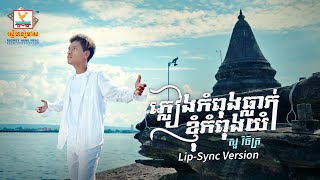 ភ្លៀងកំពុងធ្លាក់ខ្ញុំកំពុងយំ  សួ វិចិត្រ  LipSync Version  RHM [upl. by Aneetak]