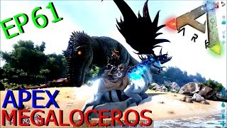 BGZ  ARK Survival Evolved EP61 จับกวางเทพ apex megaloceros [upl. by Amalbena]