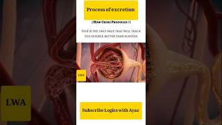 Process of excretion animation video physiology biology onlineclasses education viralshorts [upl. by Chadabe]