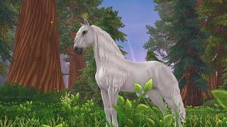 Star stable online  buying the new white friesian [upl. by Einahpit]