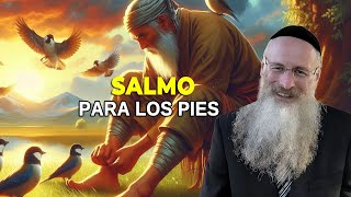 Salmo para los Pies [upl. by Gulgee]